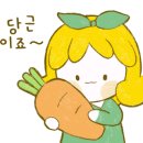 모아뷰티인셀덤