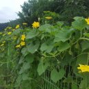 경안천누리길 이미지