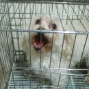 서림동-21 이미지