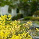 원예예술촌(주차장) 이미지