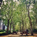 보라매공원 이미지