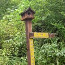 솔치주유소 이미지