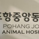 양덕동물병원 네이버블로그