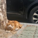 CU둔촌점 이미지