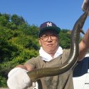 푸른낚시