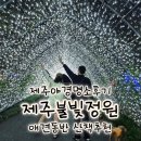 무인성인오락실 | 제주야경명소후기 제주불빛정원 애견동반 산책추천