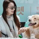 대경플래닛 이미지