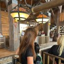 Dragon Park | [올랜도]에픽유니버스/유니버셜올랜도/닌텐도월드