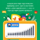 동물병원 HADA 이미지