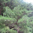 건계정식당 이미지