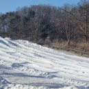 알멕스리조트 이미지