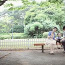 돌이가든 이미지