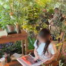 마곡 대형 카페 플라워플로우 도심 속 식물원 카페 + 주차 후기