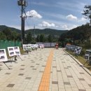 약대공원 이미지