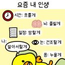 [애견미용3급준비]필기와 실기 붙은 후기! 그 외 기쁜소식~^0^