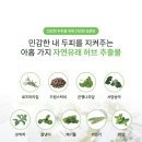 아워프로젝트
