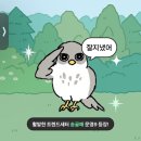 휘슈 이미지