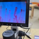 우면초교병설 이미지