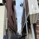 오키도키노래연습장 | [대전] 대전 성심당 본점 말차 시루 안녕 크레페 후기 평일 웨이팅 진로집 콜드버터베이크샵