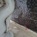 조산서재골로 이미지