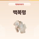 자생건강원