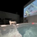 엘리스테이 이미지