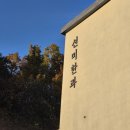 선미 | 강릉 한과마을 기념품 선미한과 후기