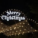 새풍화식당 | 251231 we go up