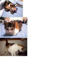 진해중부시장 이미지