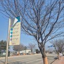 에스케이농장 | 춘천 닭갈비 맛집 항아리닭갈비막국수 본점 후기