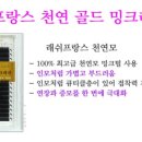 골드래쉬