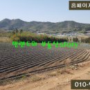 사랑태양광발전소 이미지