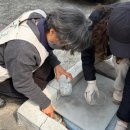 납부필증 이미지