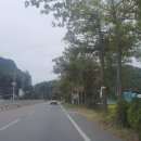 창원 인곡리 모과나무 | 경남 창원 천연기념물 인곡리 모과나무, 250년을 버틴 한 그루의 시간