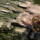 (주)바이브앤 이미지