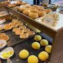 제주도 서귀포 성산 빵 맛집 보룡제과 택배/주차꿀팁/마늘바게트 후기
