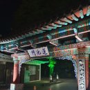 세븐일레븐전주동산점 | 전주에서 인생샷을 건지려면? 전주 덕진공원으로!_모주 홍보대사가 되어본 전주 덕진공원 후기