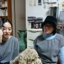 한스강아지방 이미지