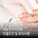 네일902 이미지