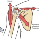 김재범한의원 이미지