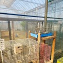 나들농장 | 부천 나눔농장 후기｜아이와 가기 좋은 부천 동물농장 실내체험 총정리