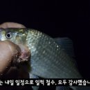 갈천유료낚시터 이미지