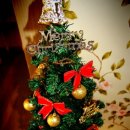 핑크트리 이미지