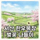 기관목장 | 서산 한우목장 벚꽃 겹벚꽃 개화 시기 명당 주차 정보 총정리