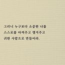 대전실사 이미지