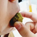 바우푸드협동조합 이미지