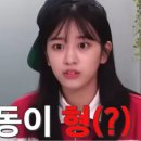 변동오락실 이미지