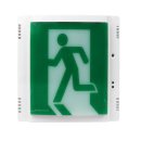 그레이스 이미지