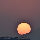 해안산업로 뉴시스