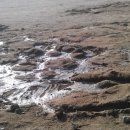 다부초교 이미지